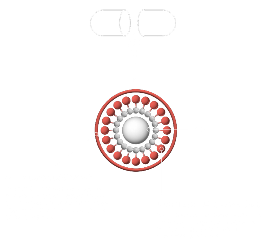 How it works graphic